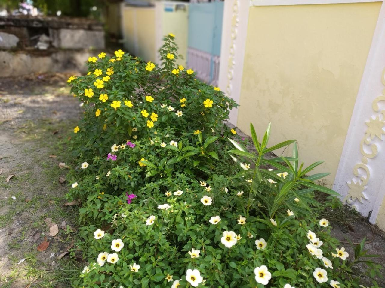 Casa Feliz Bed and Breakfast Fort Kochi Exteriör bild